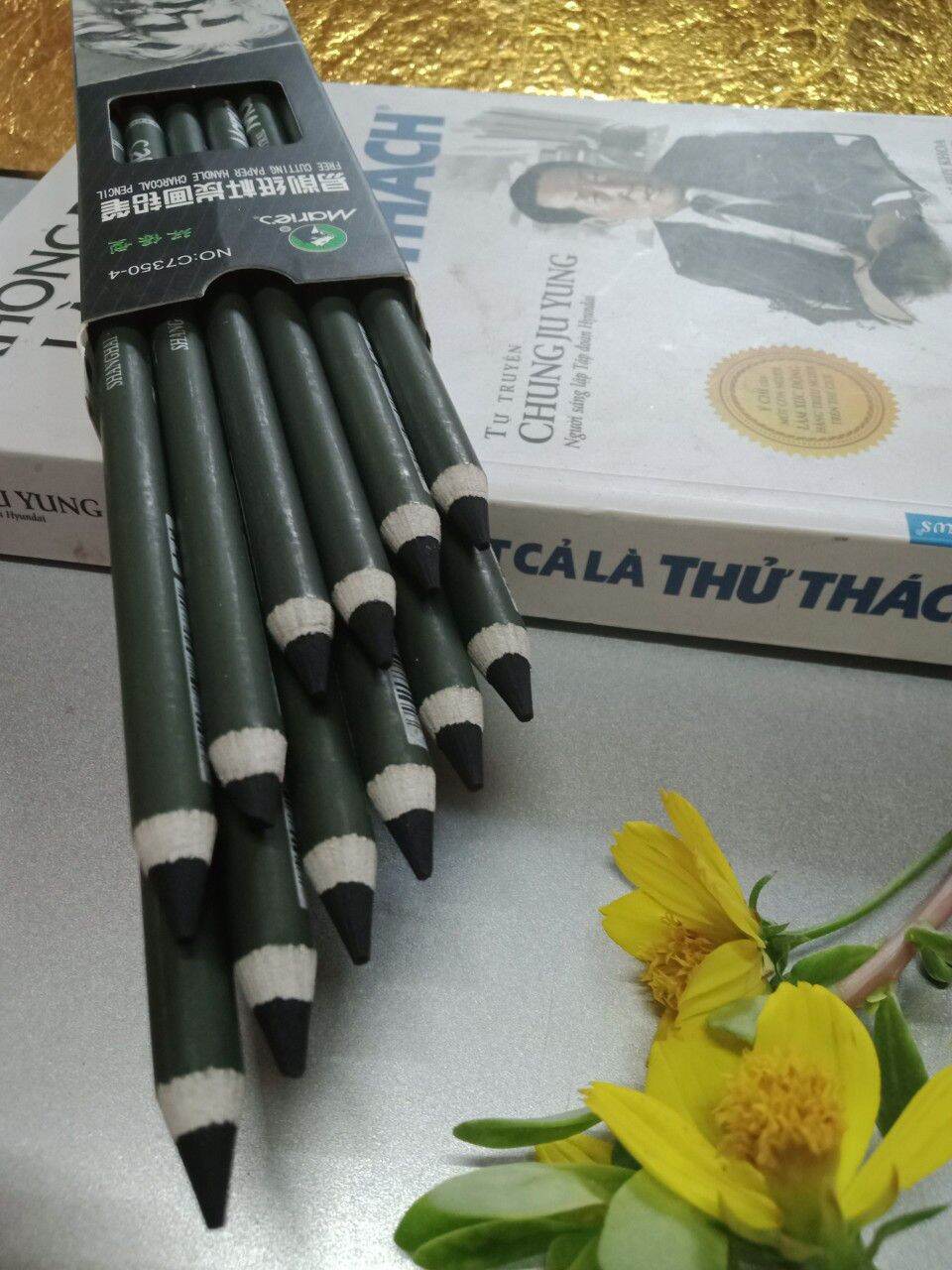 [HCM]BÚT CHÌ THAN ĐEN  VẼ TRANH HỌA SỈ CHUYÊN NGHIỆP