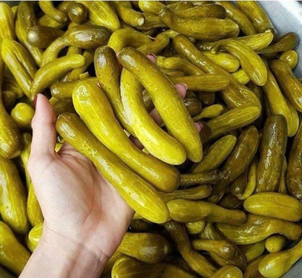 1kg Dưa leo non nguyên trái muối chua. giòn ngon