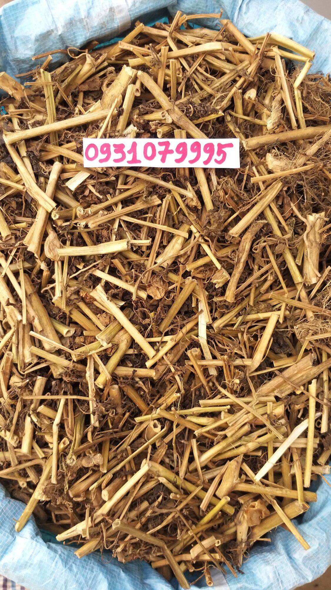 cây tầm bóp - cây thù lù phơi khô 1kg