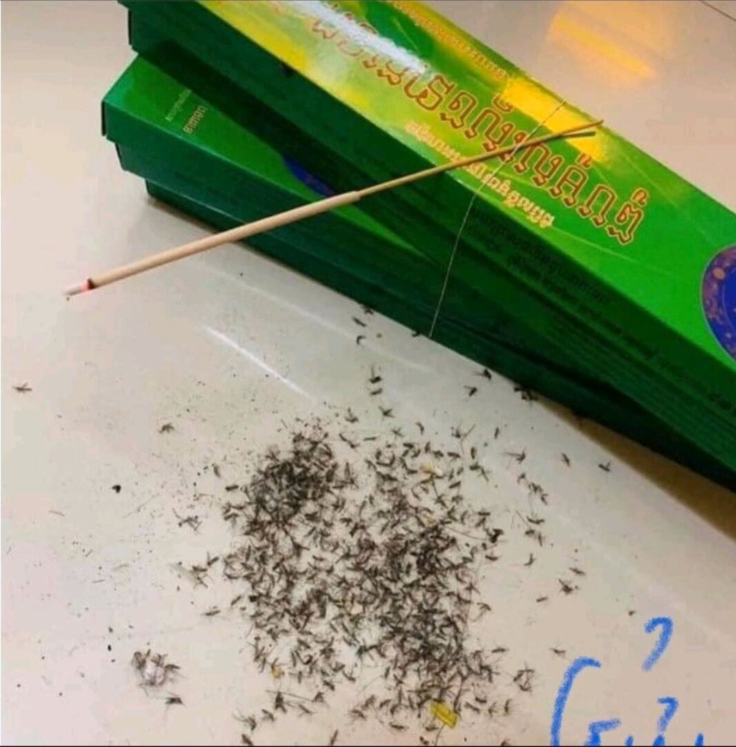 10 hộp nhang muỗi Thái Lan dạng cây diệt muỗi hiệu quả LOẠI DIỆT MUỖI thumbnail