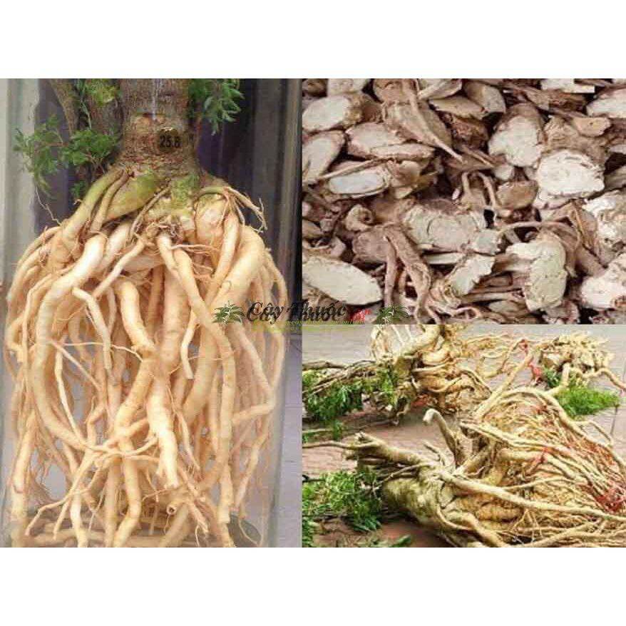 1kg củ đinh lăng khô sạch (rễ đinh lăng)