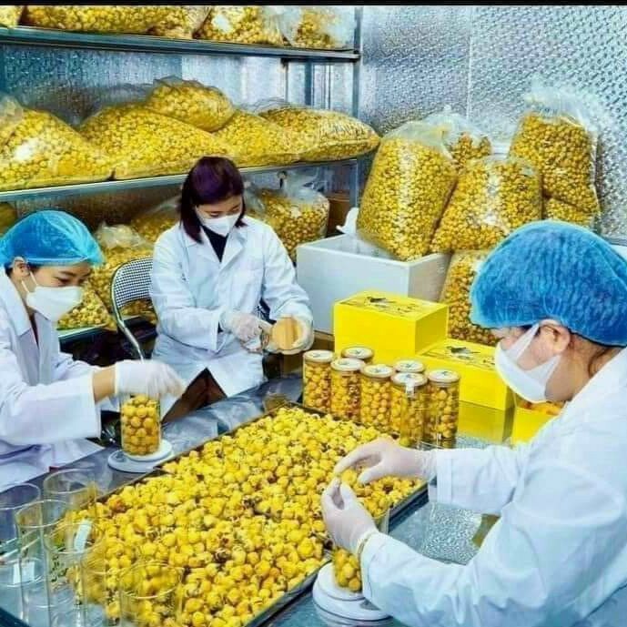 Trà hoa vàng (hộp 100gr)