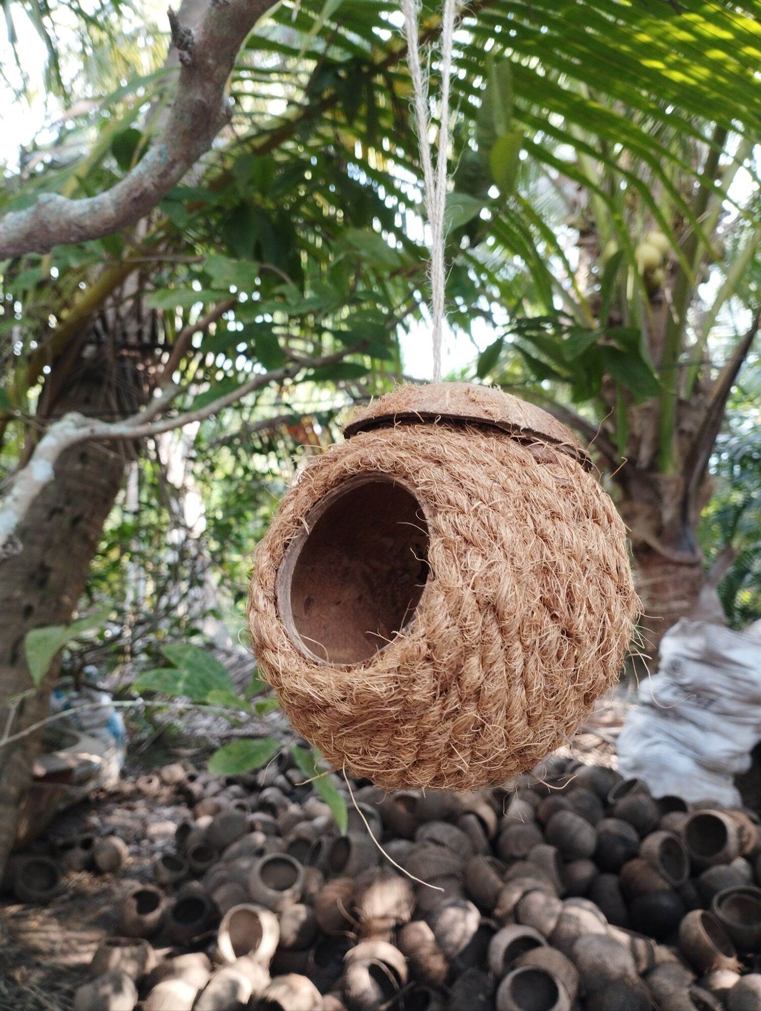TỔ CHIM GÁO DỪA QUẤN XƠ DỪA TRANG TRÍ