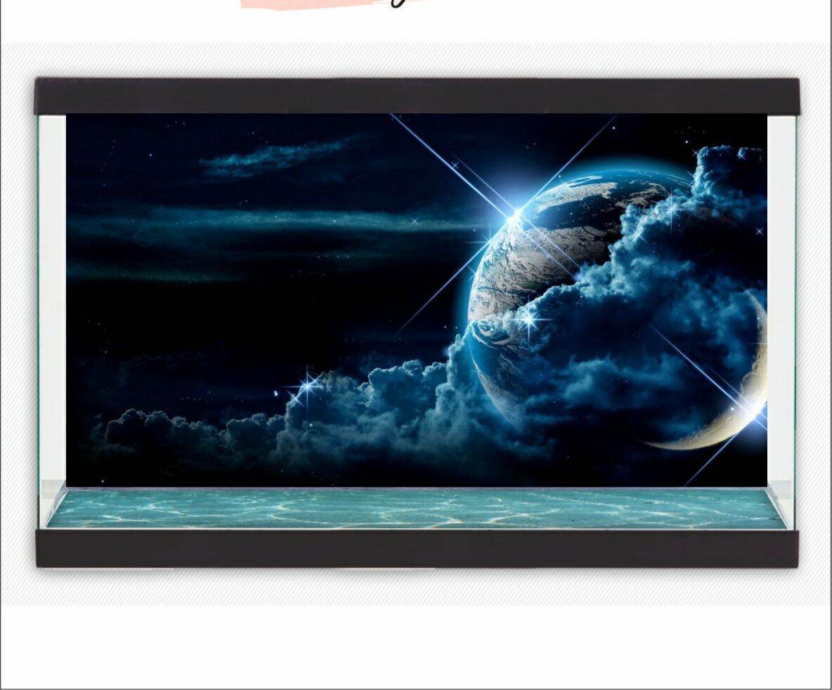 Tranh 3d dán hồ cá decal vip- in theo kích thước hồ