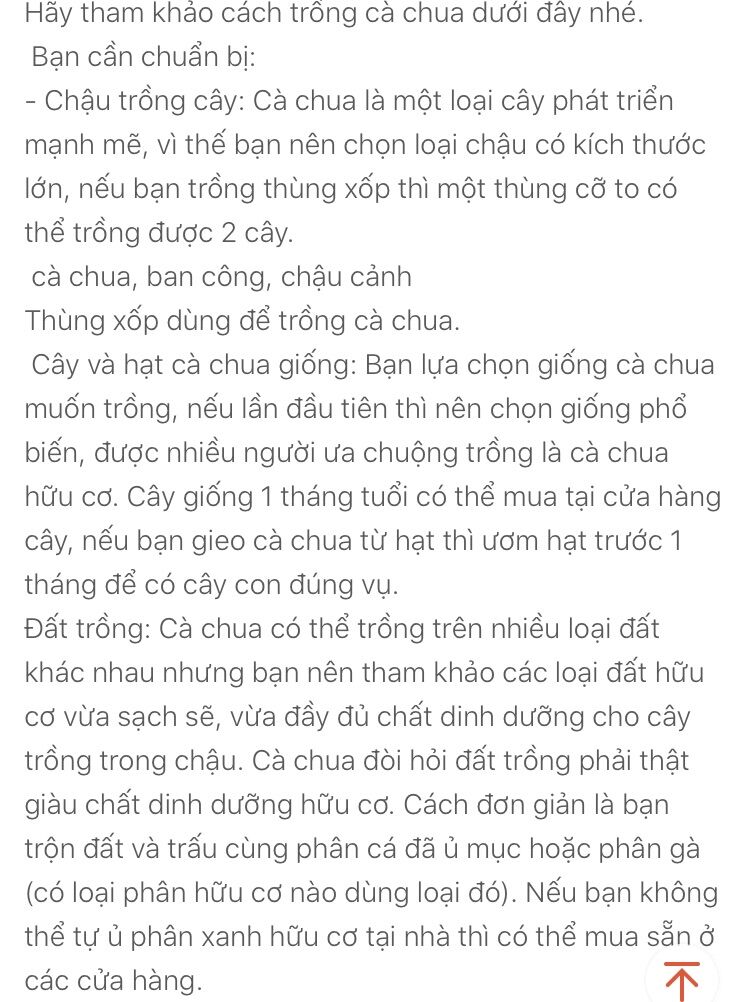 Hạt giống cà chua lai F1