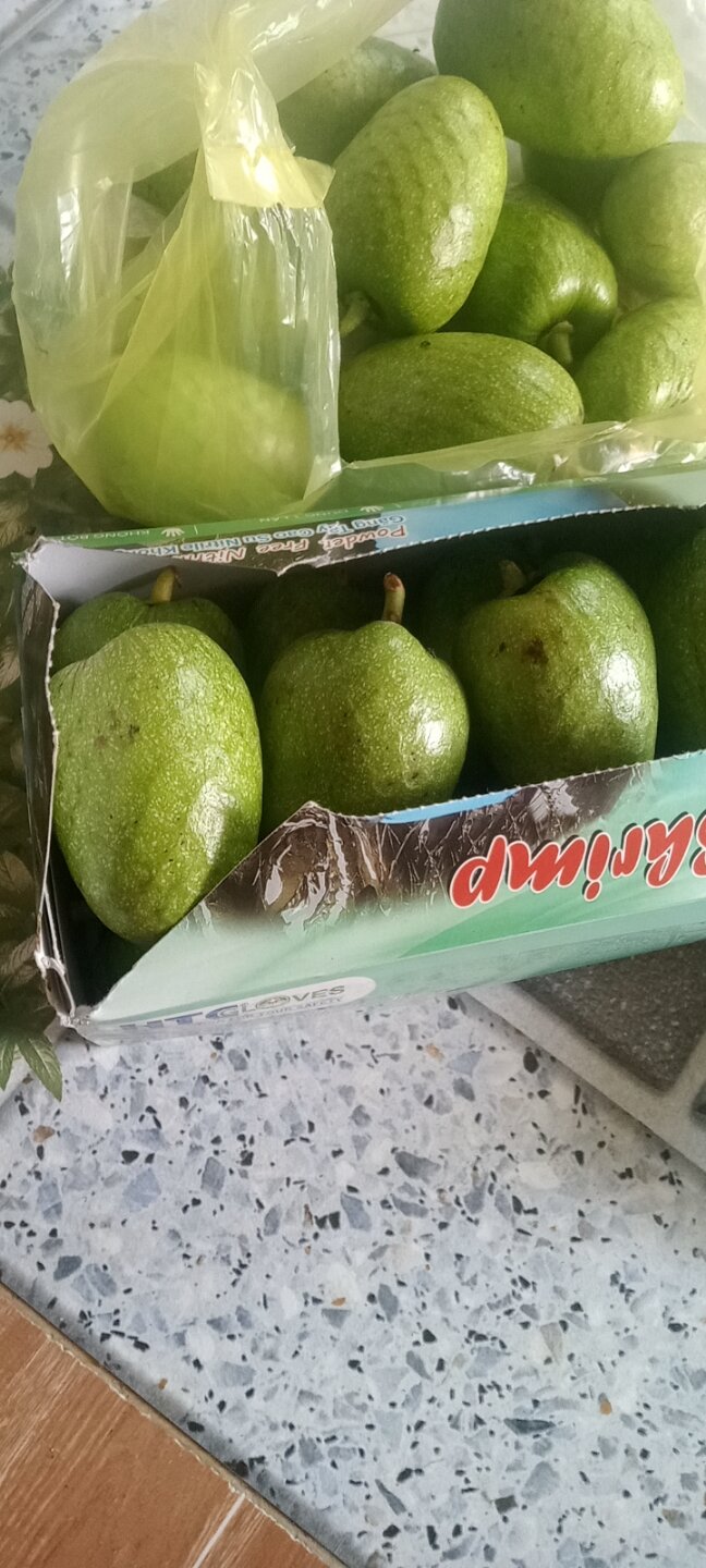 trái bình bát sống 1kg