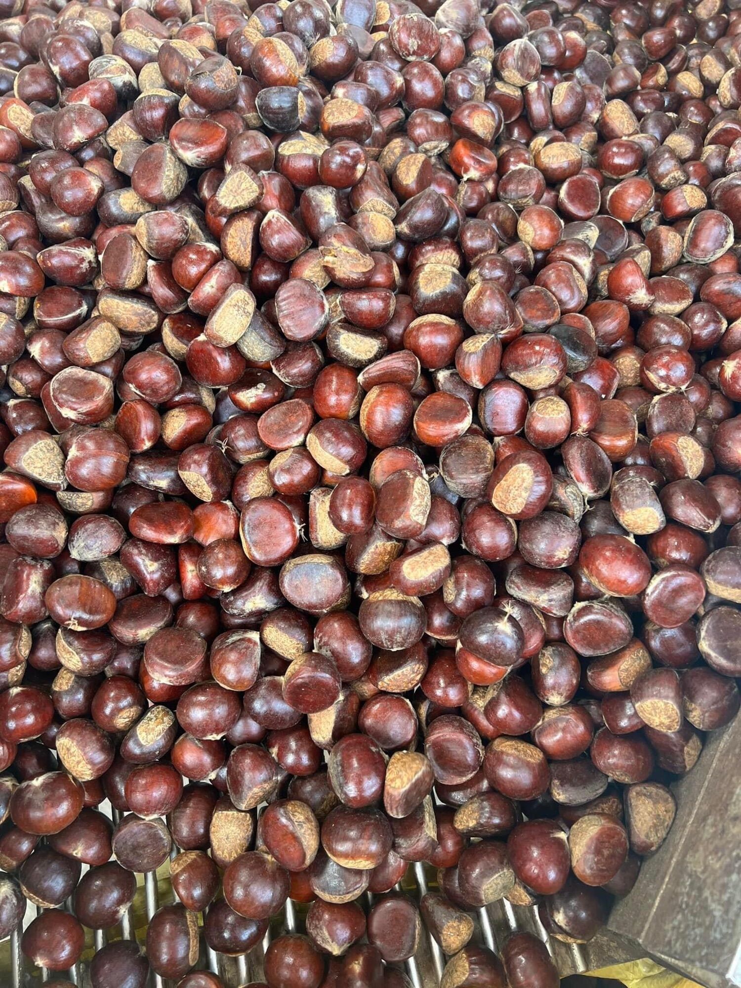 Hạt dẻ rừng Cao bằng _2kg