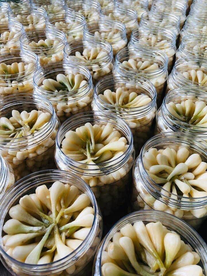 Củ kiệu nhà làm 500g không cân nước
