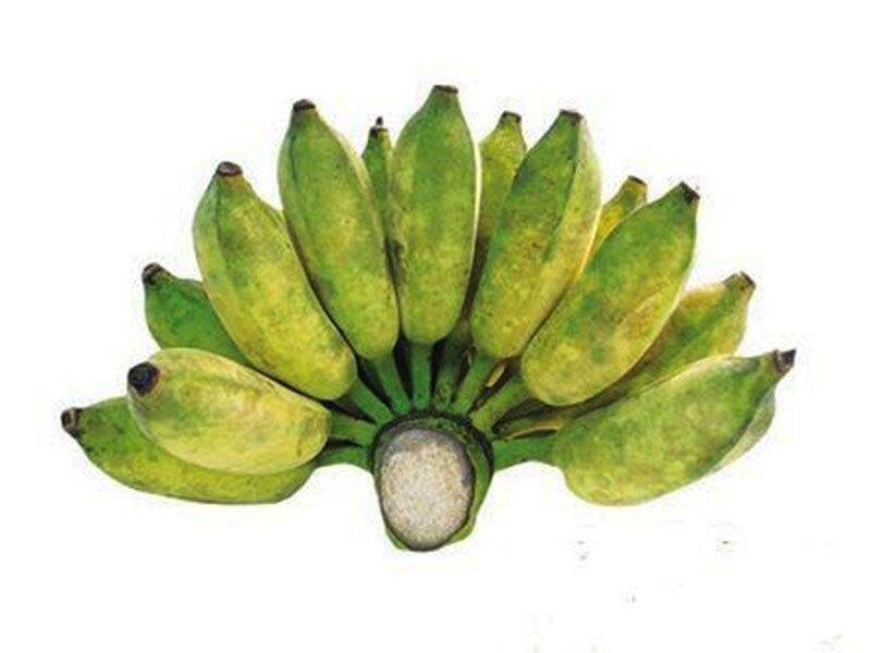 Chuối xiêm bến tre 1kg