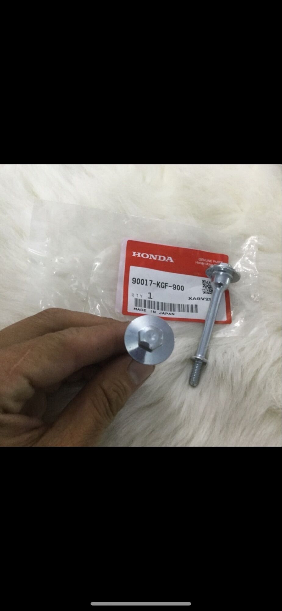 Ốc nắp chao sh ý , dylan , ps