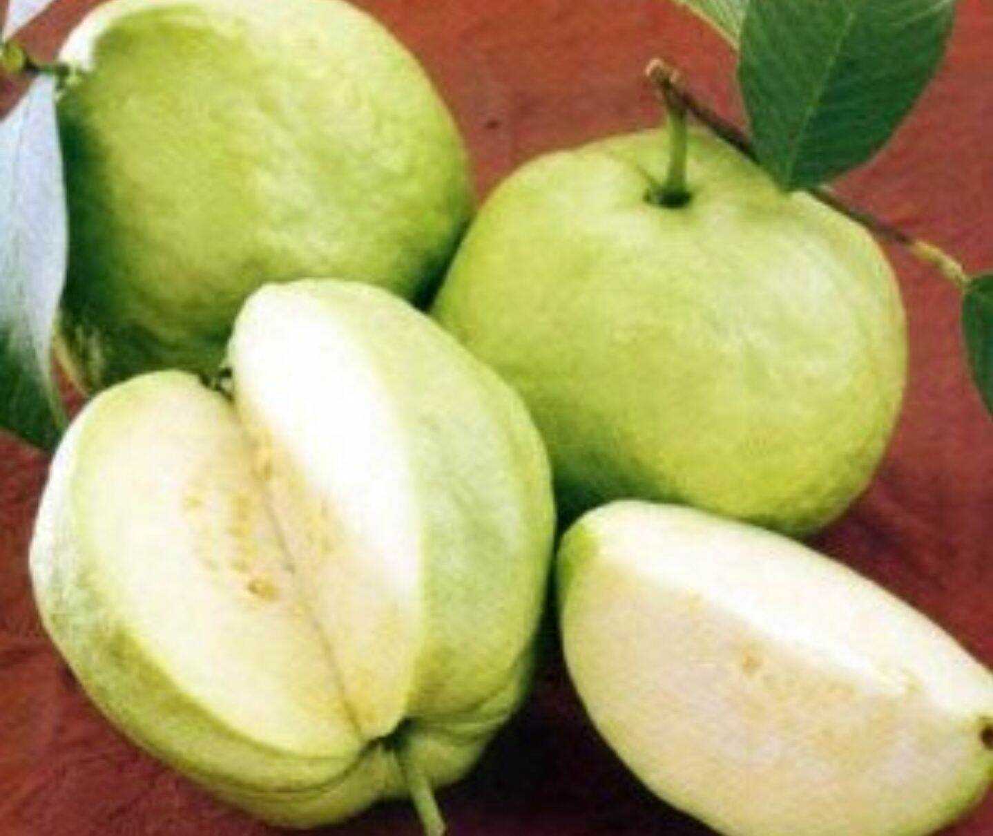 ỔI NỮ HOÀNG 1KG