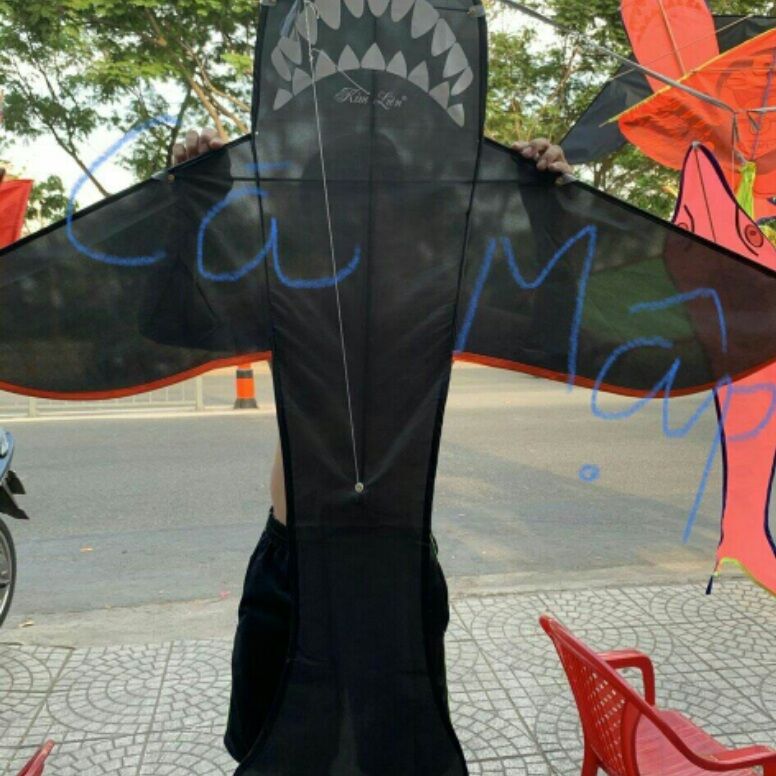 diều cá mập lớn