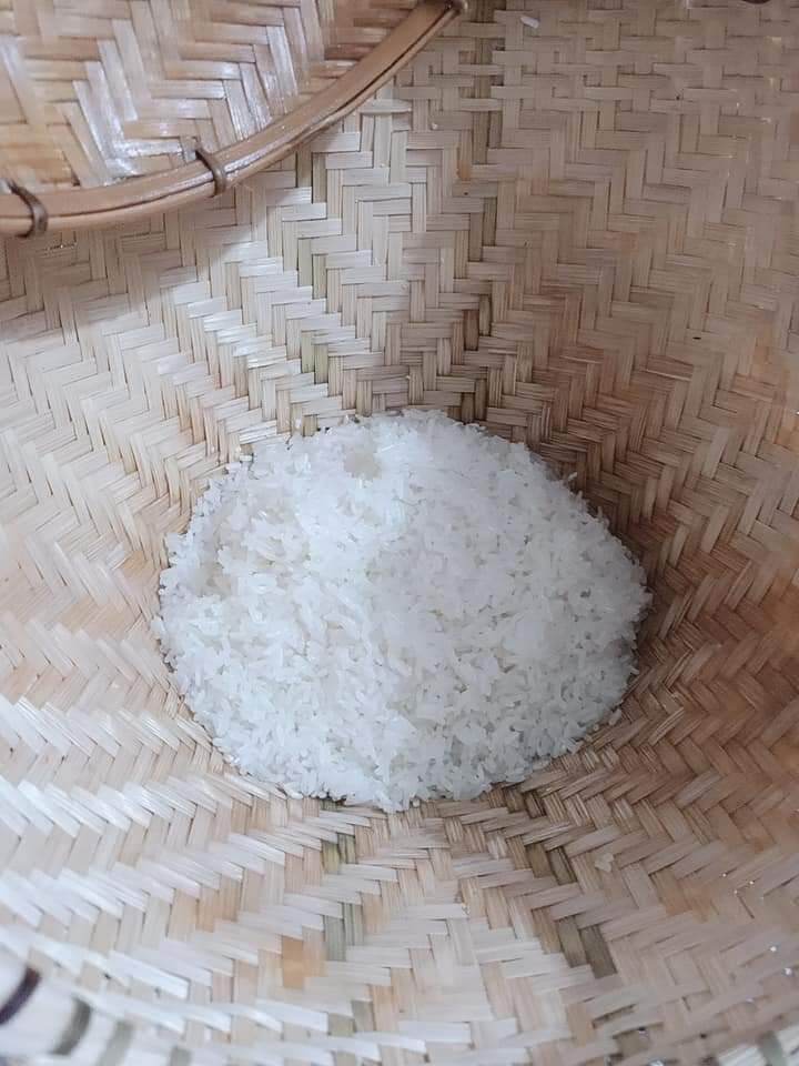 CHÕ HẤP XÔI THÁI LAN