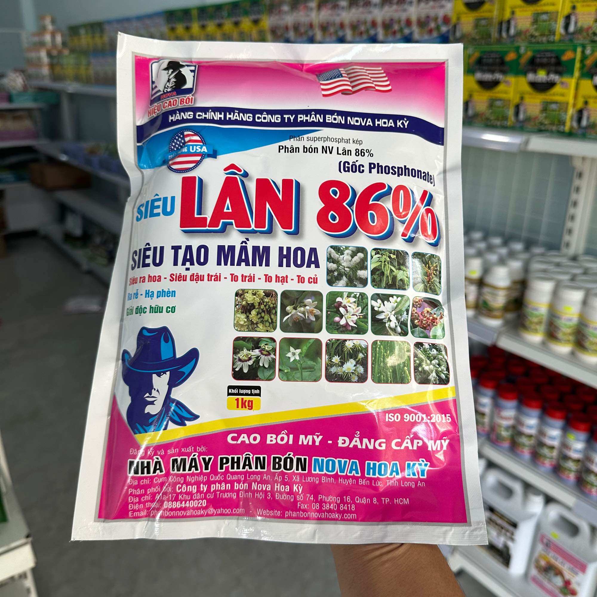 Siêu lân 86 Nova Hoa Kỳ siêu tạo mầm hoa