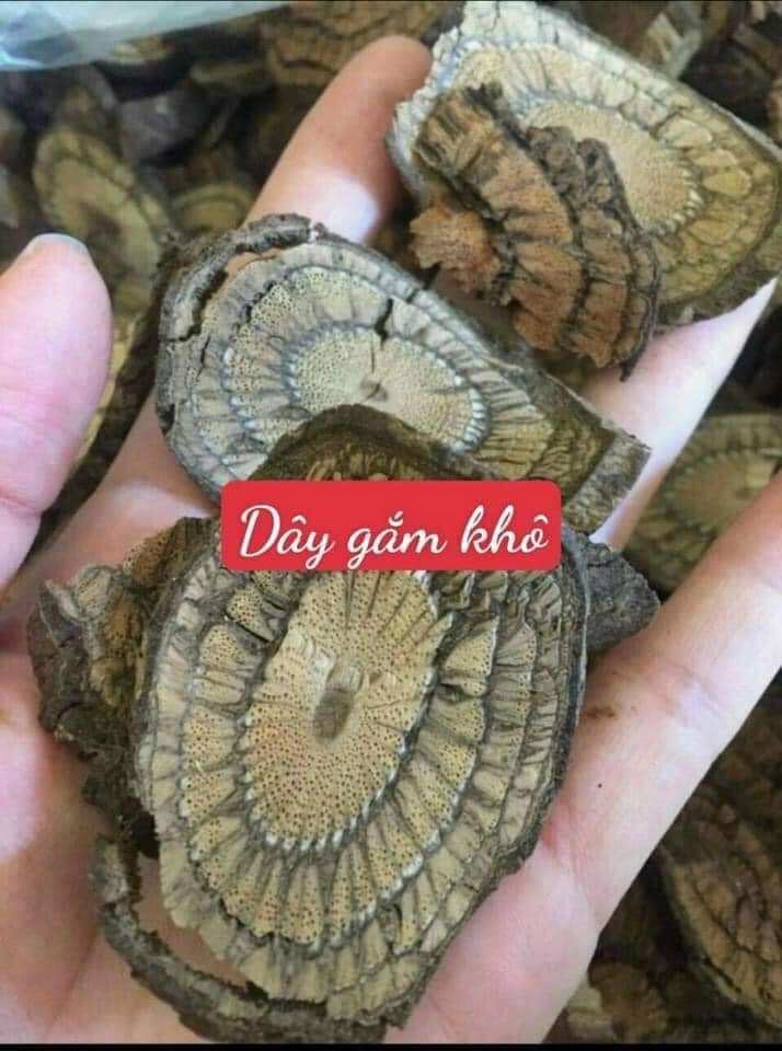 1 kg Cây Gắm Đen khô hỗ trợ gút