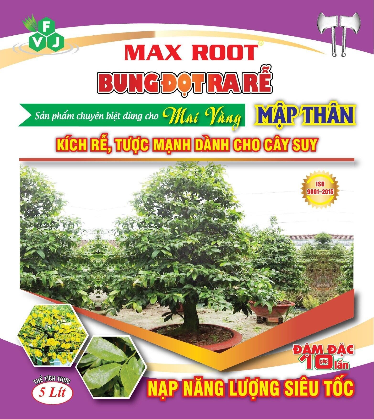 BUNG ĐỌT RA RỄ MAI VÀNG - CAN 5 LÍT.