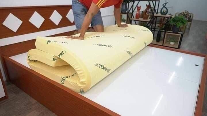 Nệm cao su non thắng lợi ( 1m2x2mx10cm)