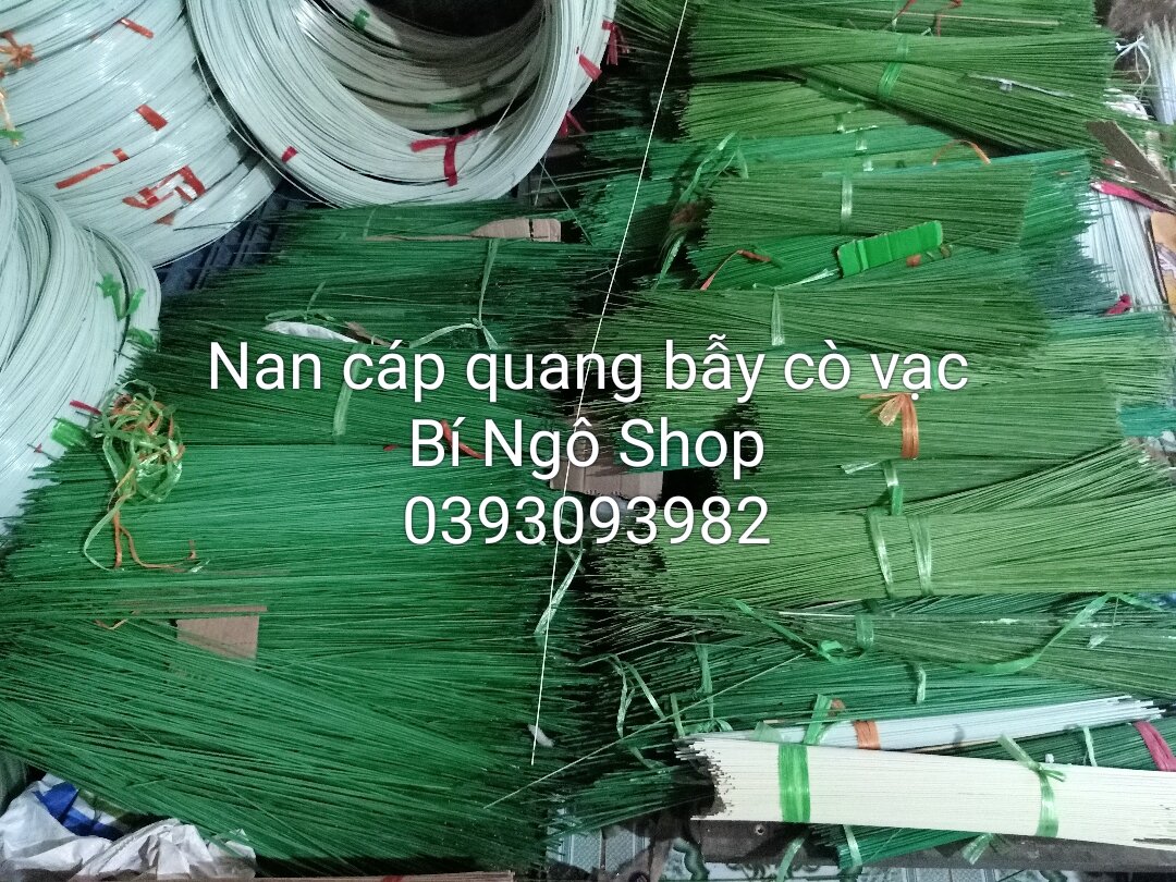 300 que nan cáp quang 1li7 dài 50cm