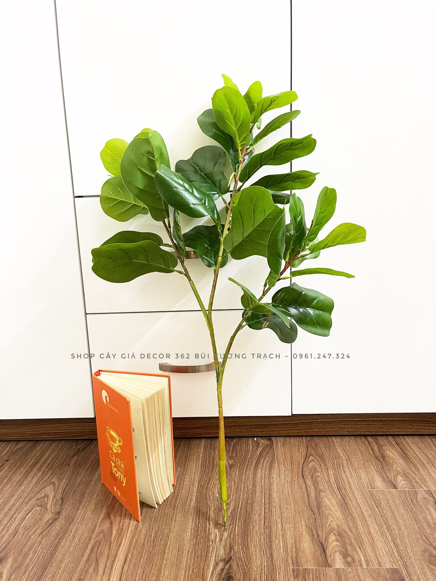 Cành bàng sing 75cm thân mảnh - 3 nhánh