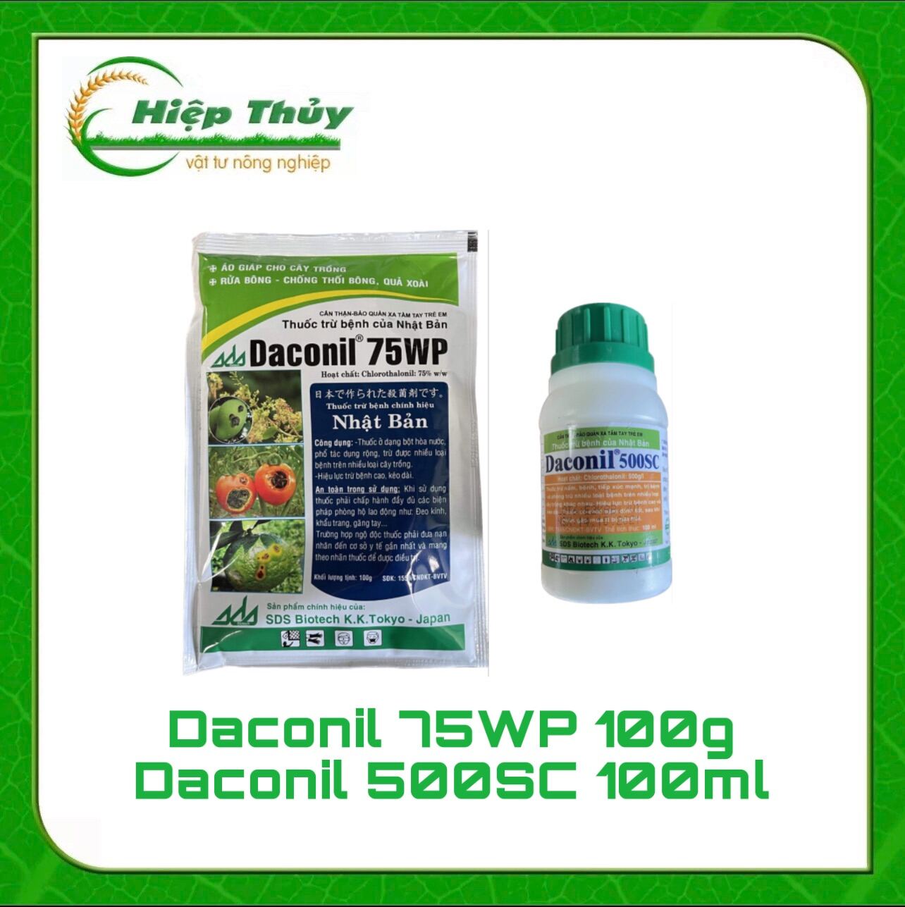 Thuốc Trừ Bệnh cho cây trồng Daconil 75WP (gói 100g, chai 100ml) , Phòng trừ sương mai, phấn trắng, đốm lá, thán thư.