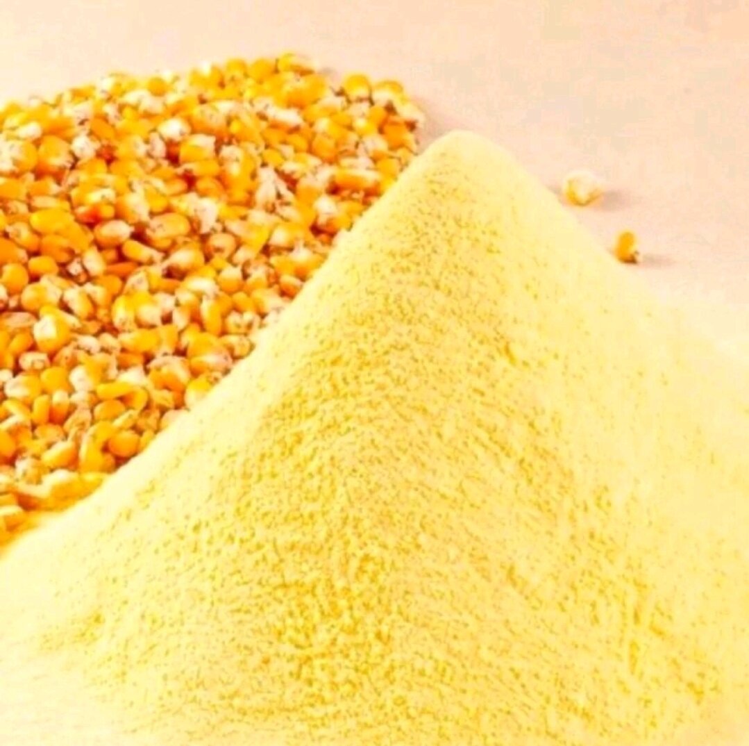 Bột bắp, Cám bắp , trộn mồi câu cá , làm thức ăn chìm, gà nhỏ