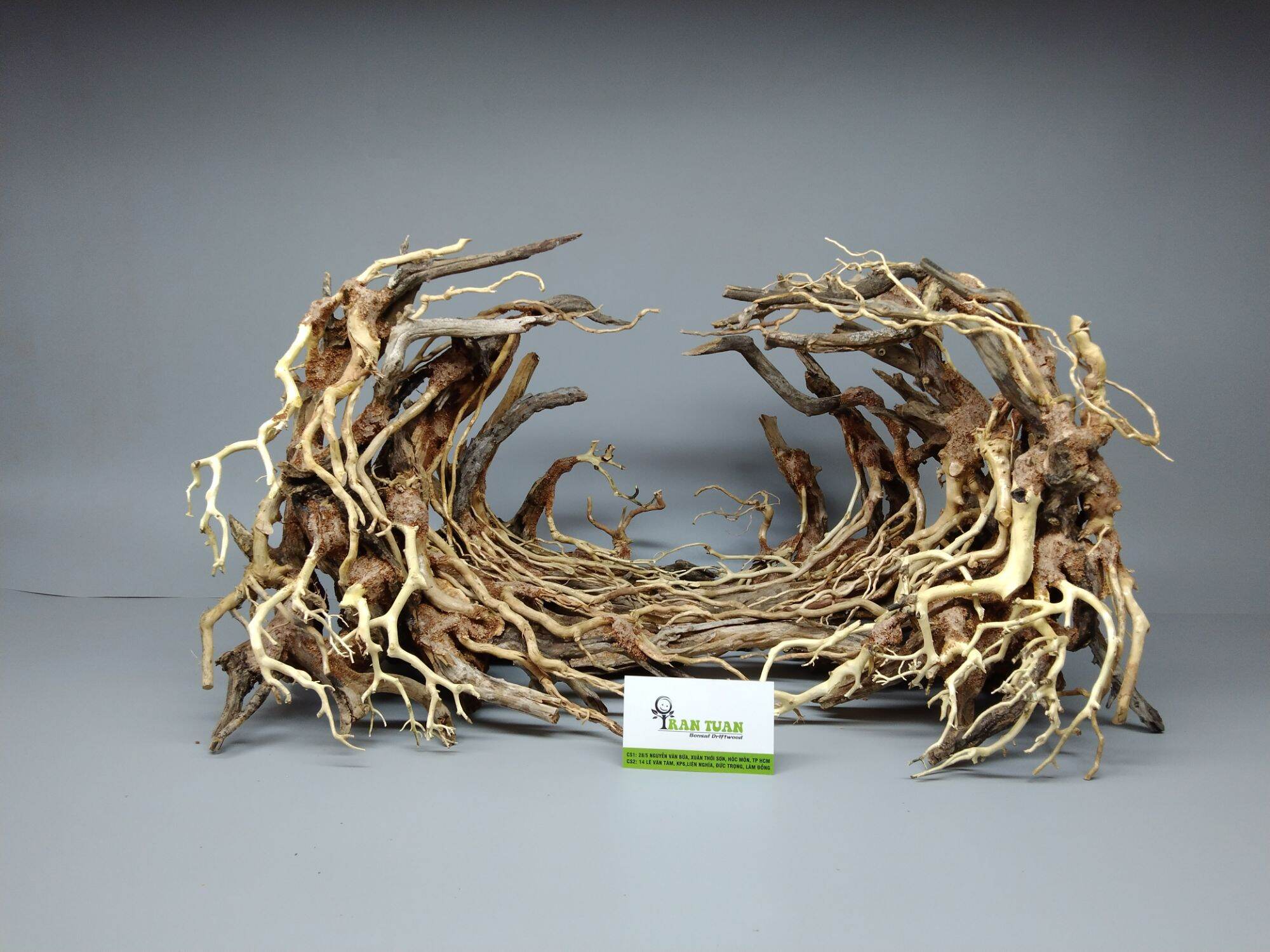 cây gỗ lũa bonsai cho hồ cá cảnh, hồ thủy sinh dạng Layout