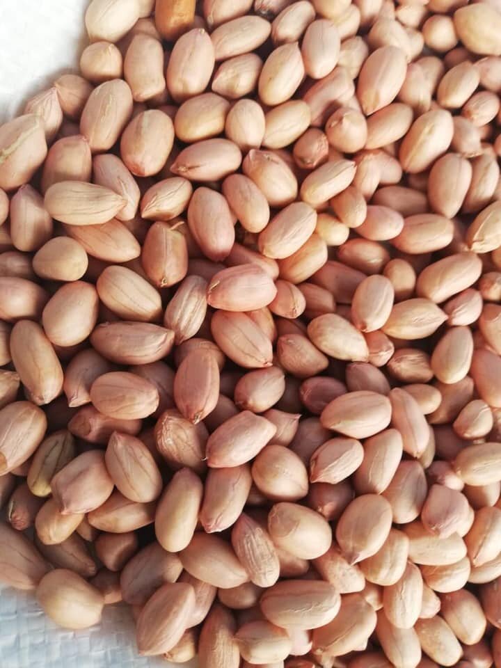 Đậu phộng lạc - đậu phộng sống 1kg