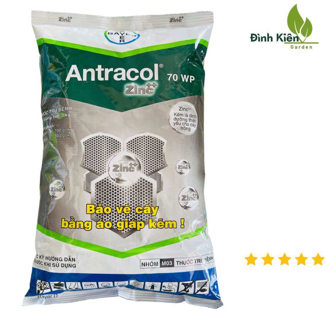  Antracol 70WP  CHÍNH HÃNG  Phòng Bệnh Bảo Vệ Cây Trồng 1kg  