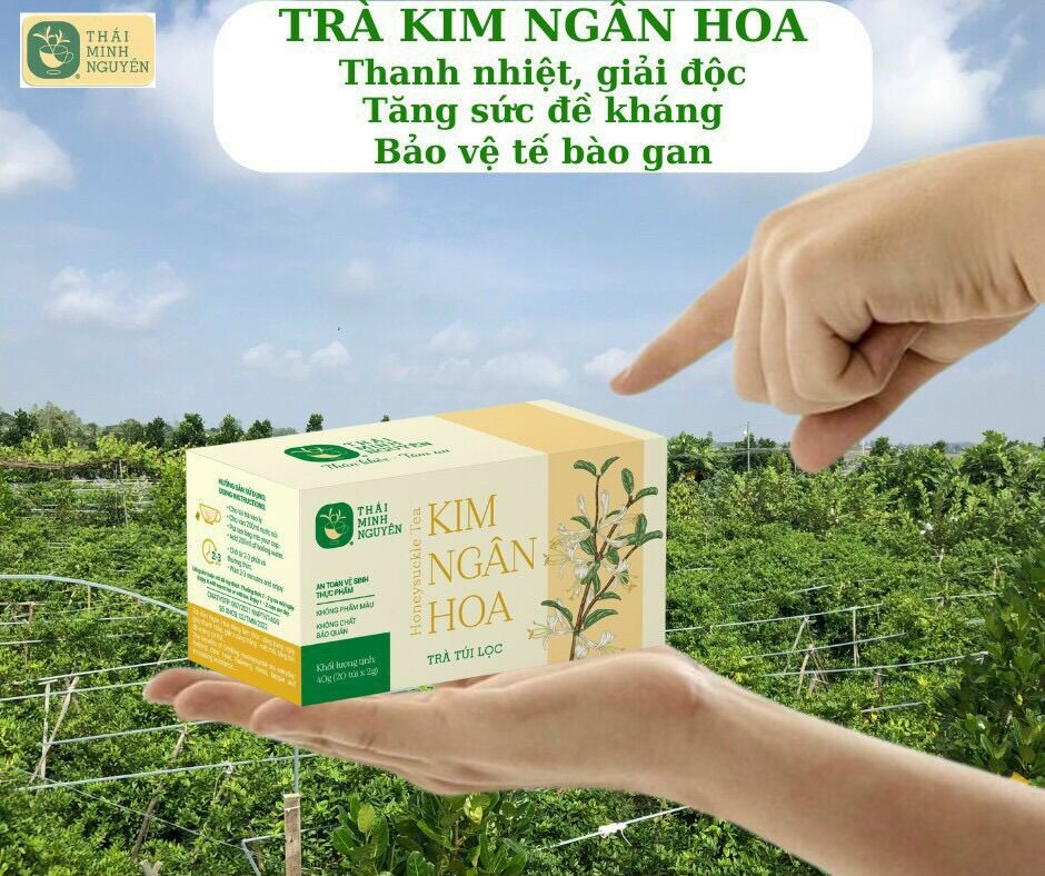 Trà kim ngân hoa túi lọc 40g