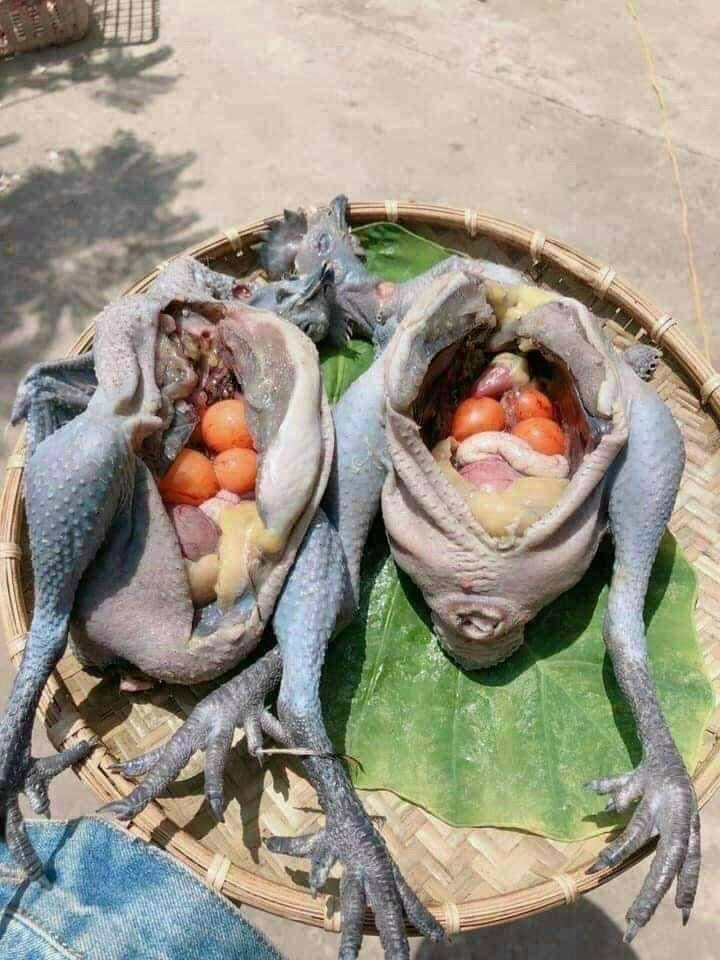 1 con gà ác nặng 600-700gr ôm trứng