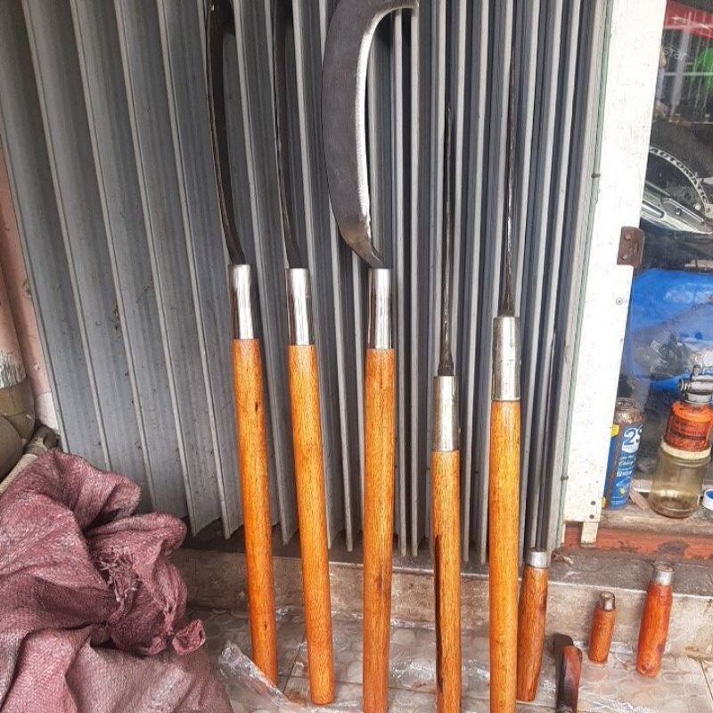 Dao Khoai đi rừng ...