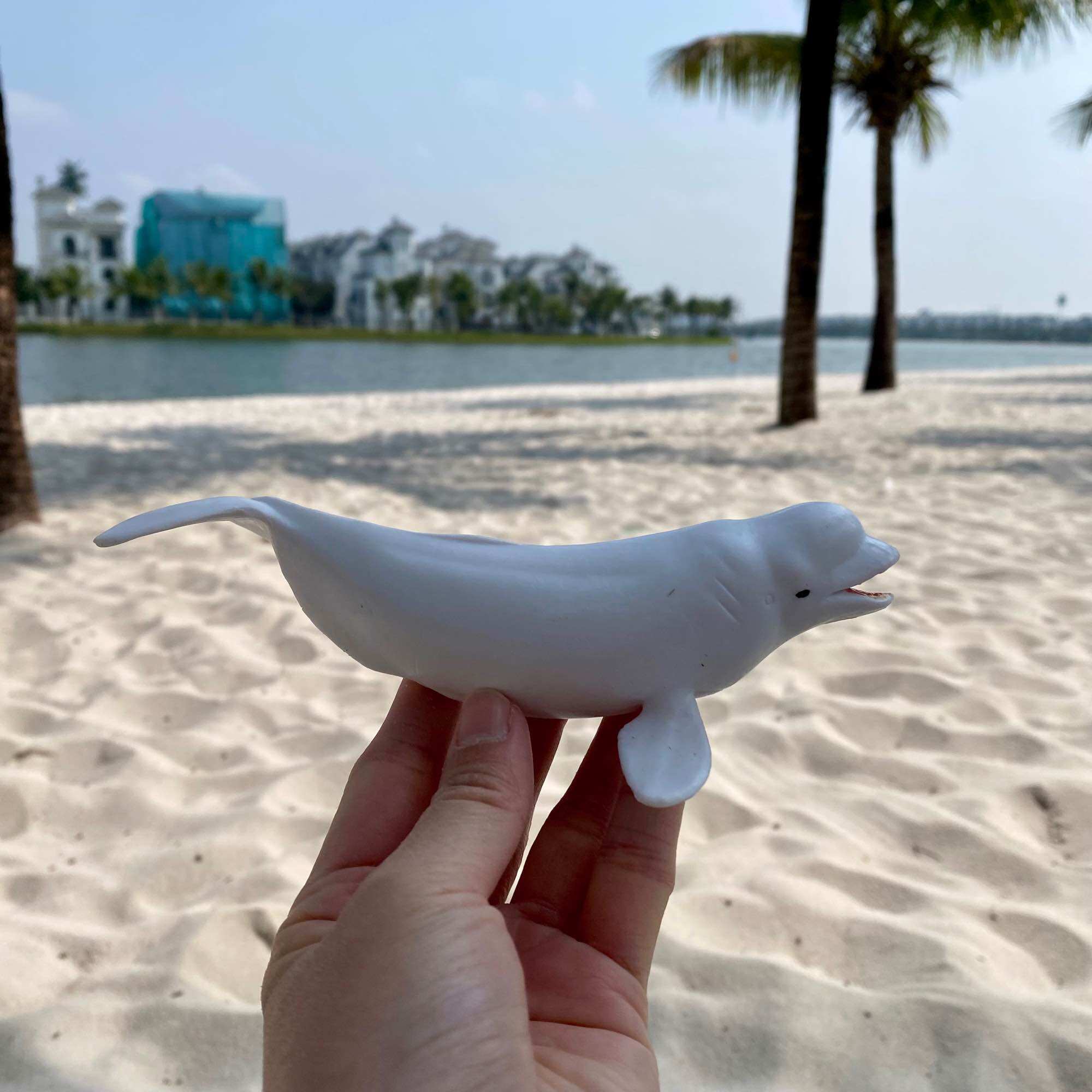 Mô hình động vật con cá voi trắng cá heo trắng Beluga