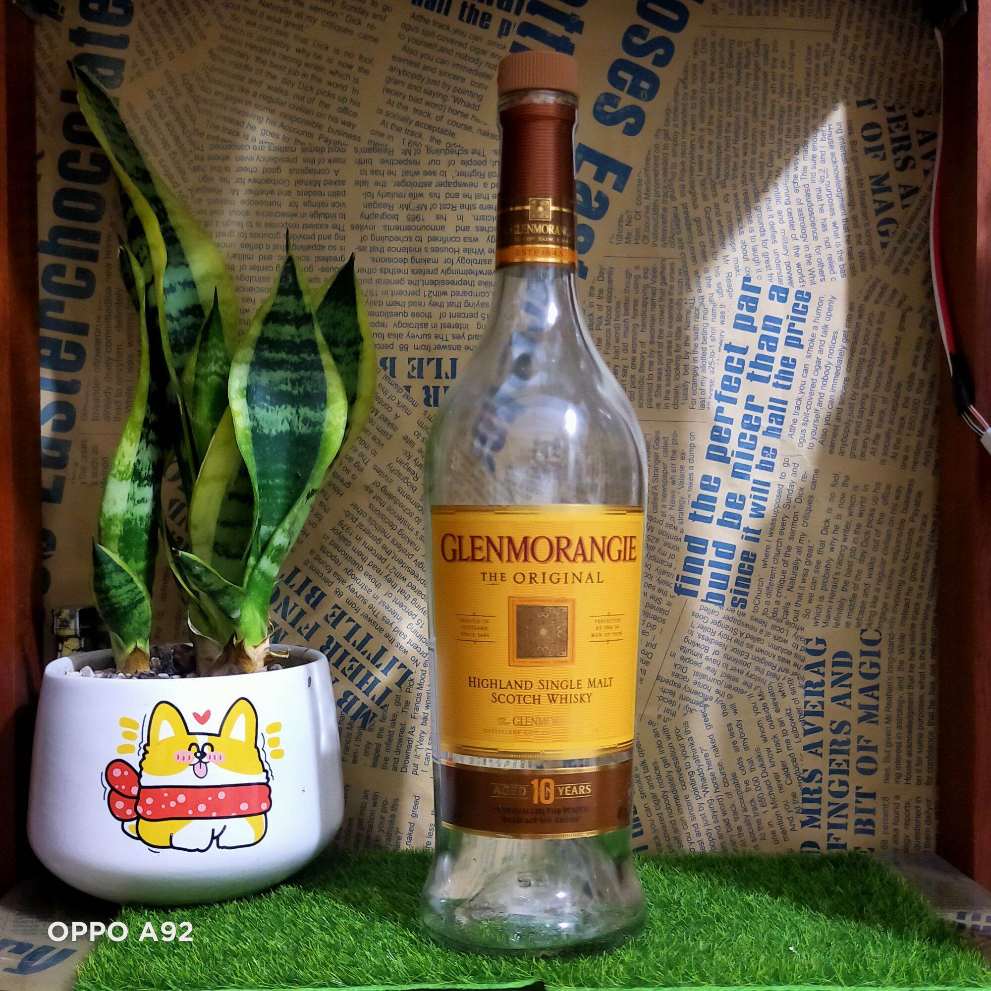 Vỏ chai thủy tinh Glenmorangie dáng cao