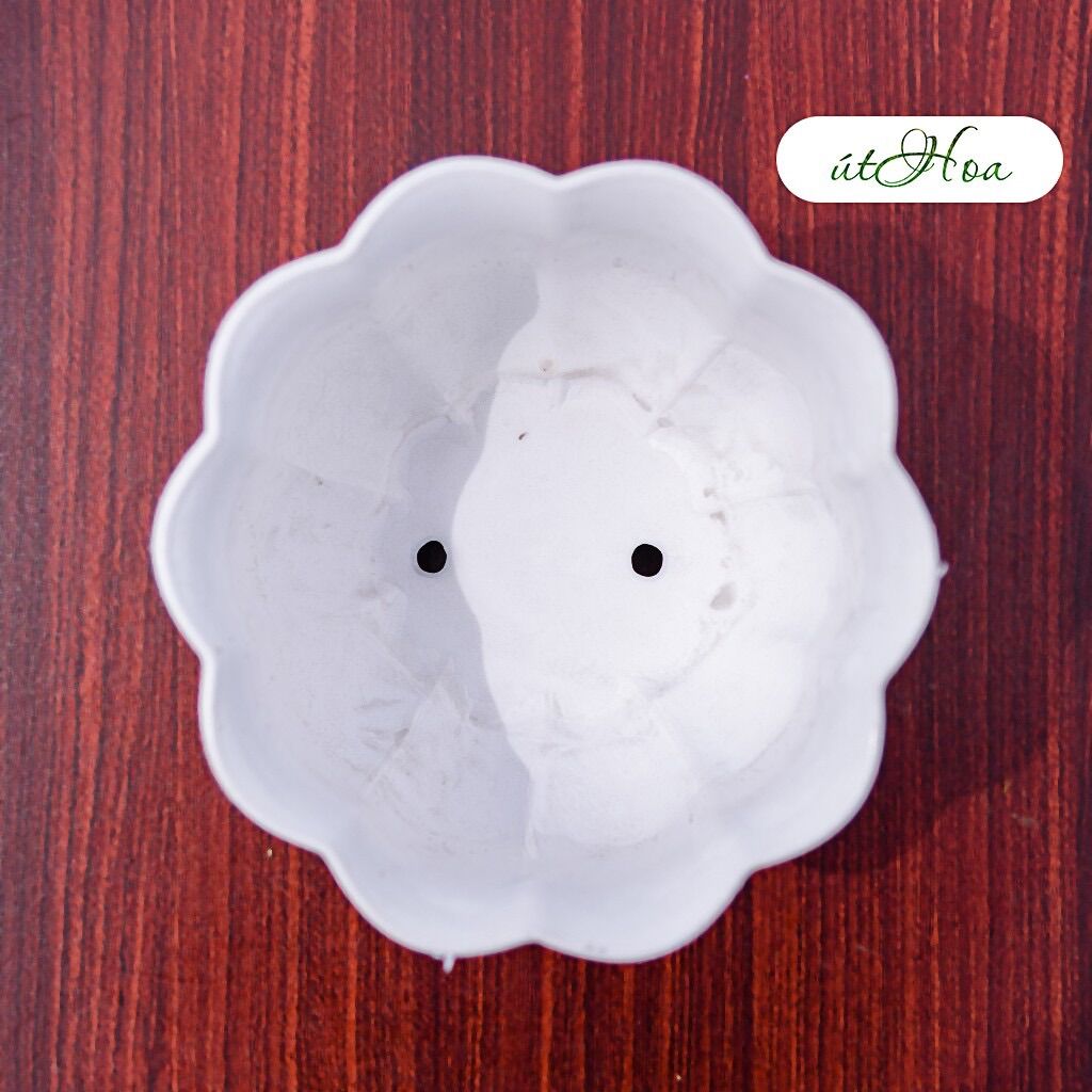 Chậu Để Bàn Trái Bí Trắng