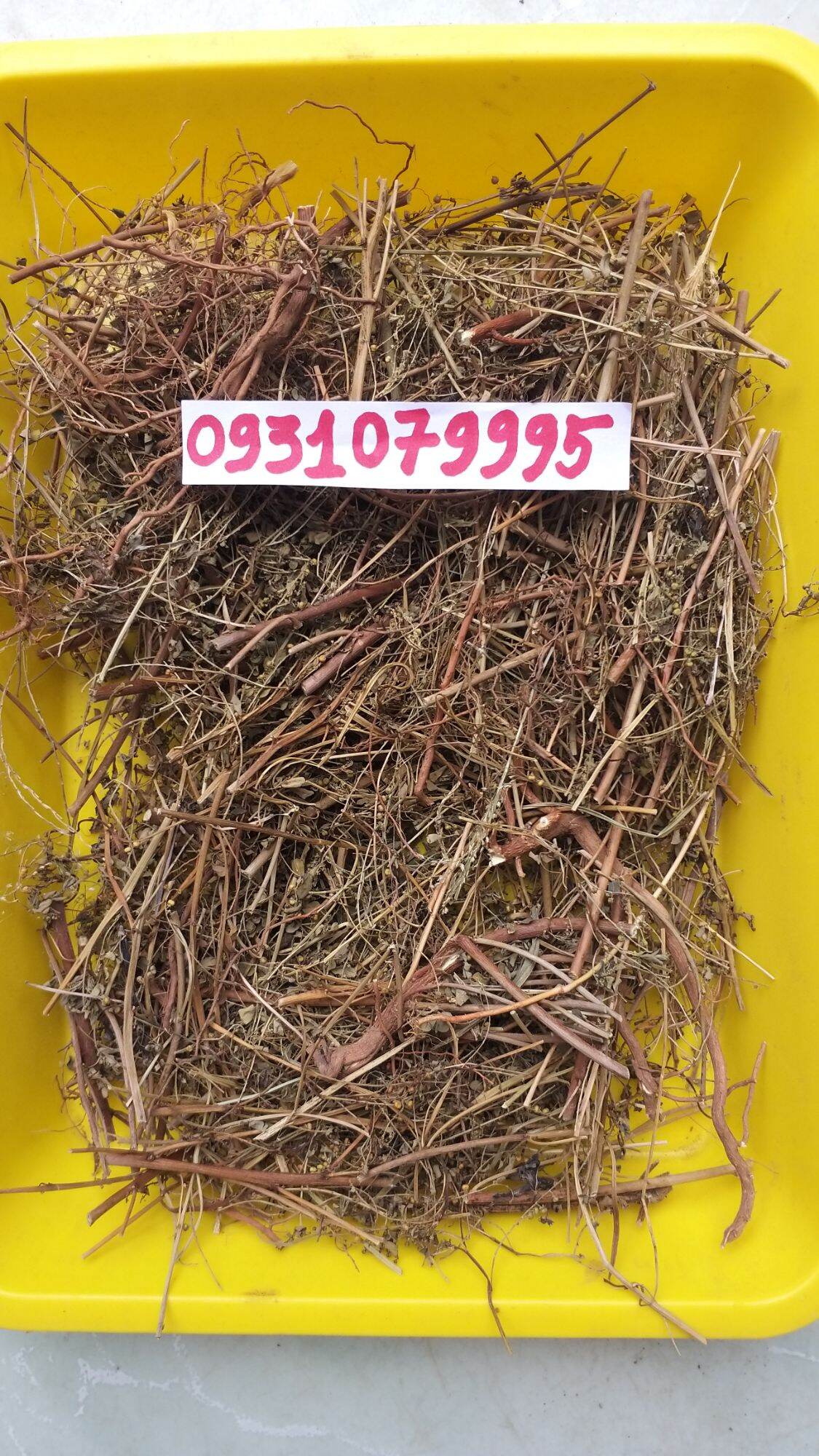 cây chó đẻ - diệp hạ châu phơi khô 1kg