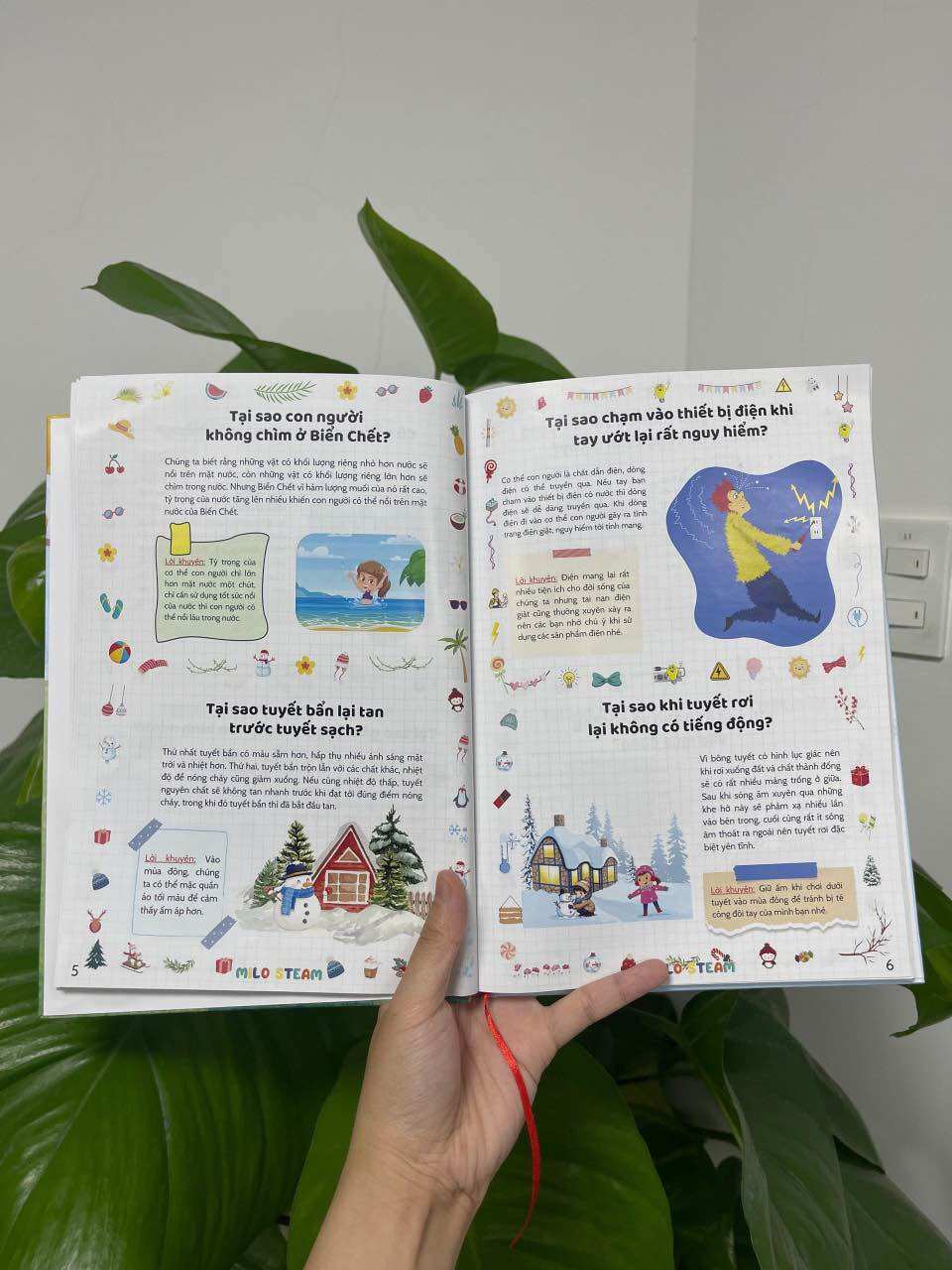 Bách khoa toàn thư (phiên bản hình minh họa)