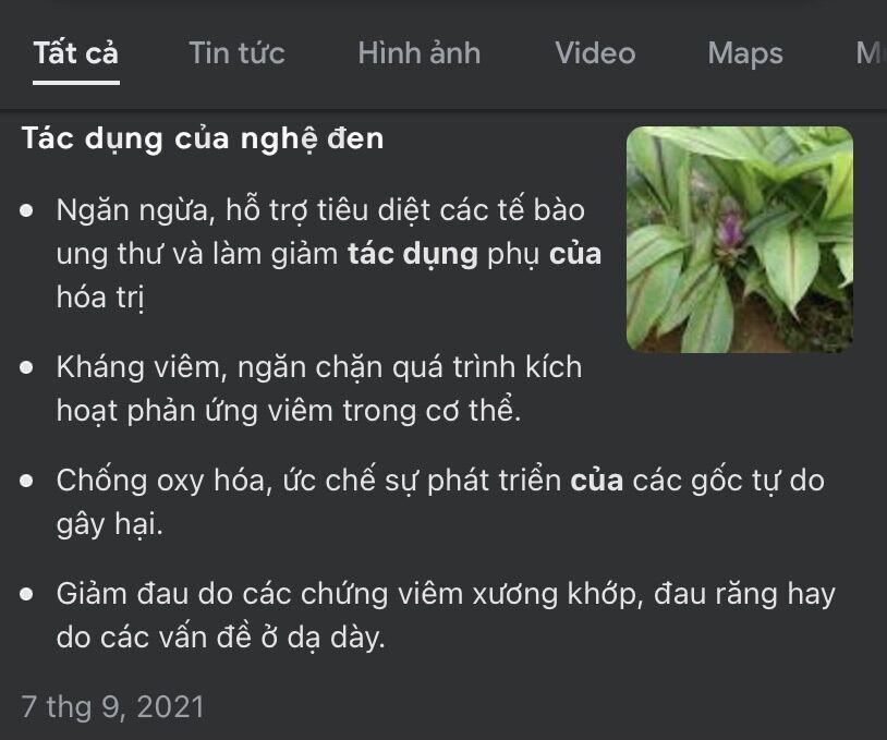 nghệ đen giống cũ (1 củ giống)