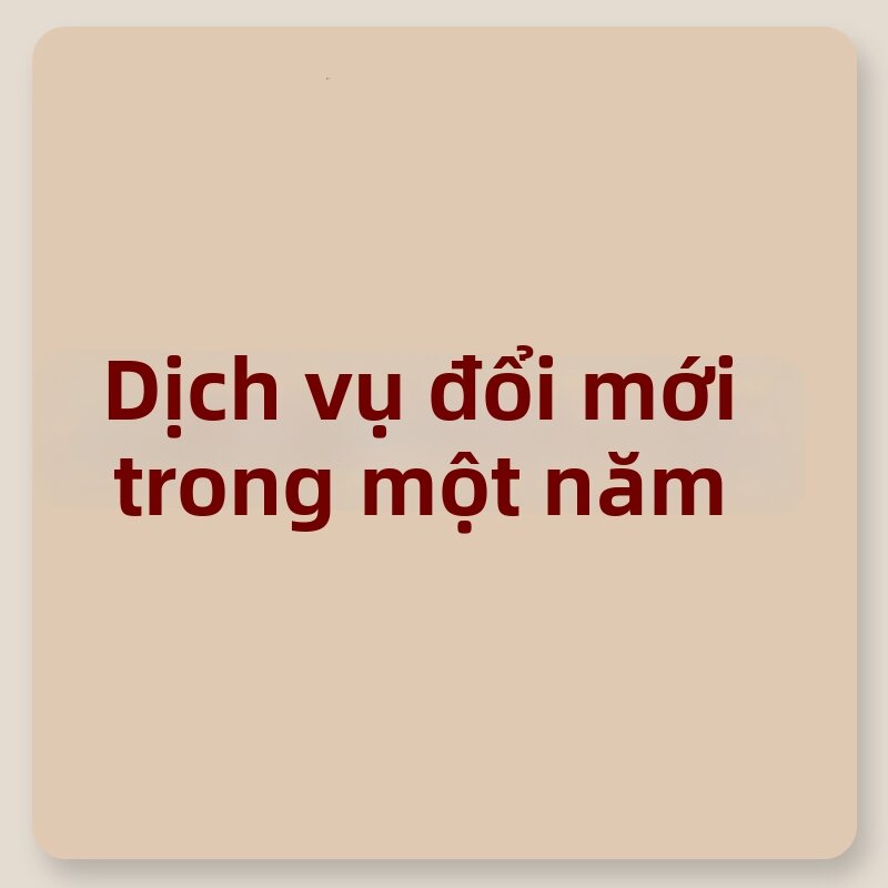 Dịch Vụ Thay Thế Trong Một Năm