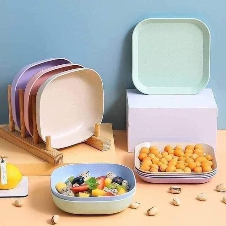 Set 8 đĩa lúa mạch màu pastel siêu xinh