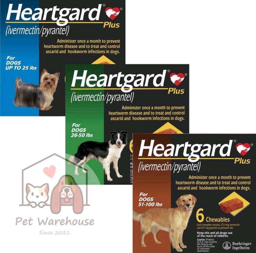 Heart gard bảo vệ cún cưng khỏi nội kí sinh trùng và giun tim thumbnail