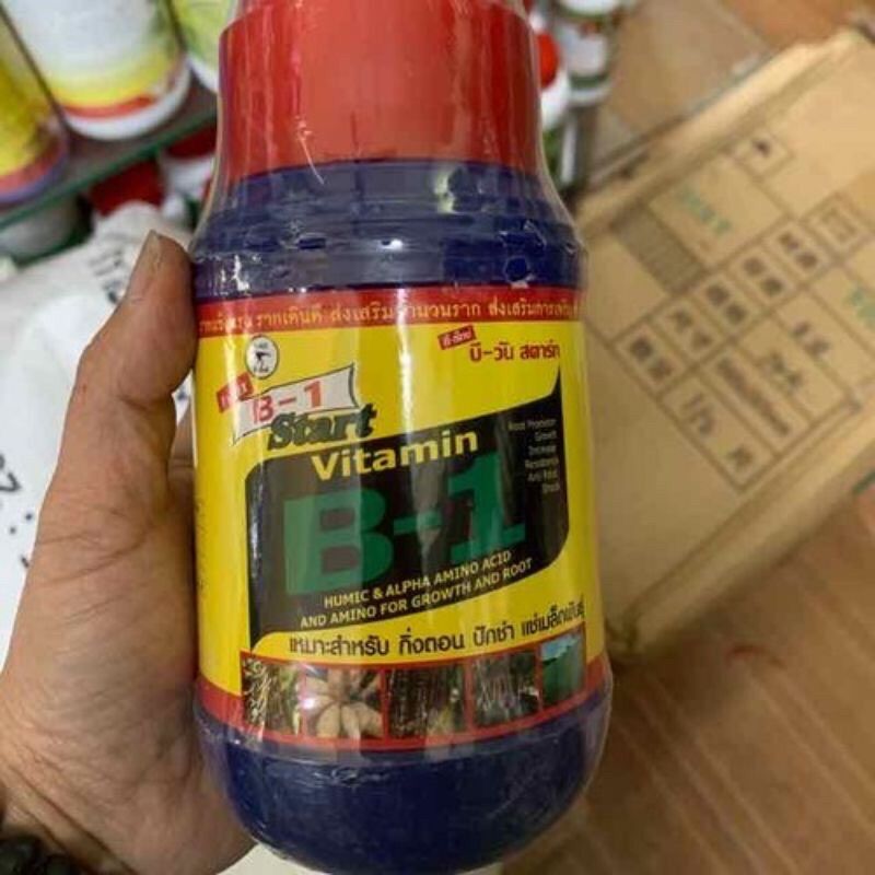 Thuoc kích rễ vitamin b1 star-thailand 500ml