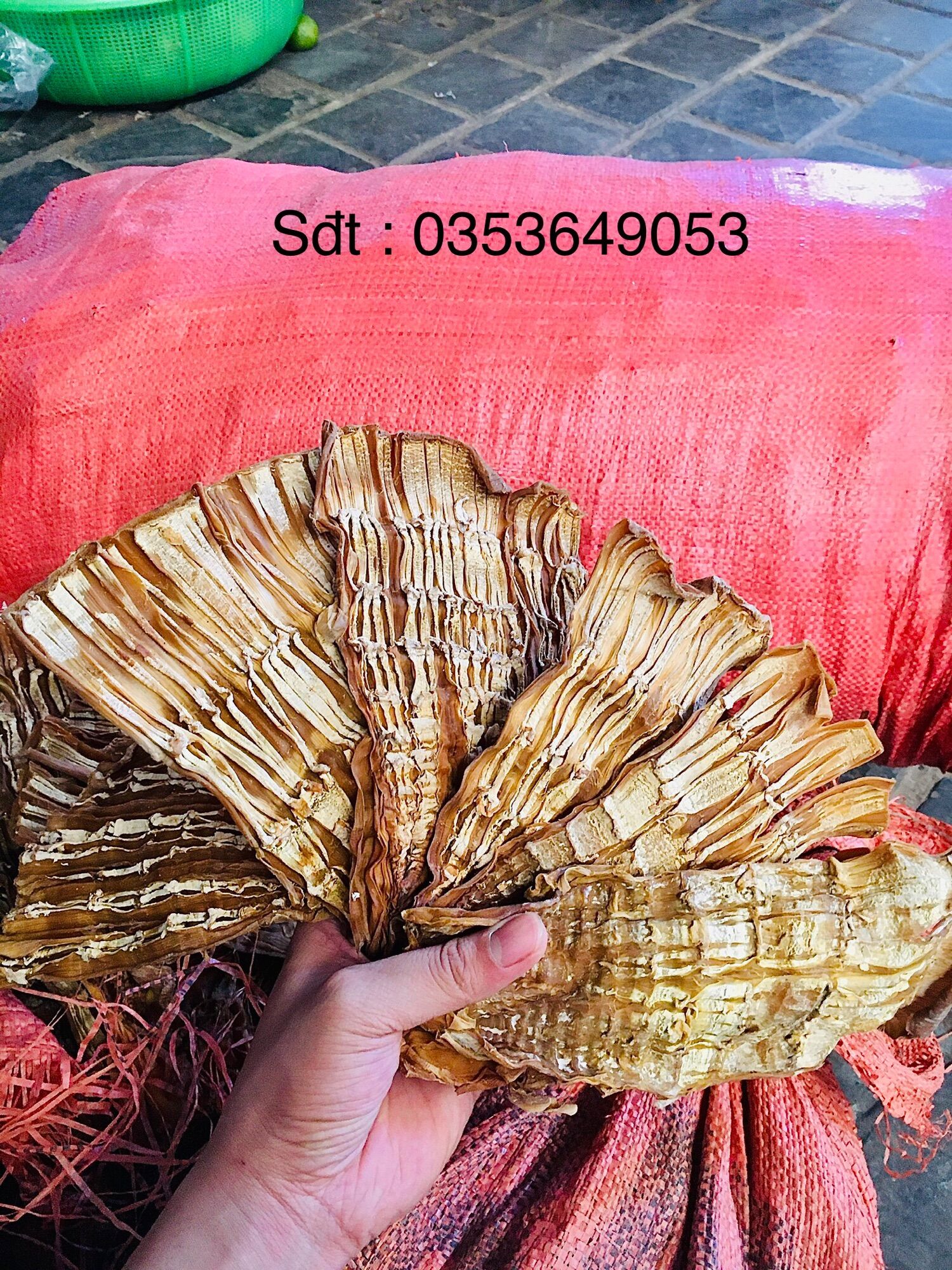 1 cân Măng khô Điện Biên