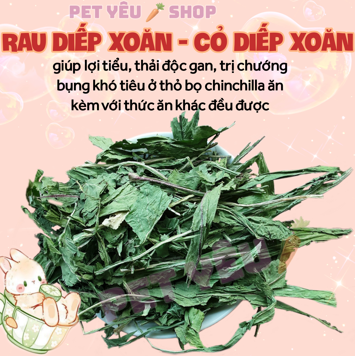 Cỏ diếp xoăn - rau diếp 🐻 FREESHIP🐻 thức ăn thỏ bọ chinchilla chuột lang