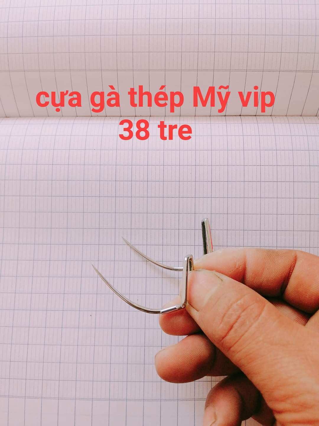 cựa gà thép Mỹ vip