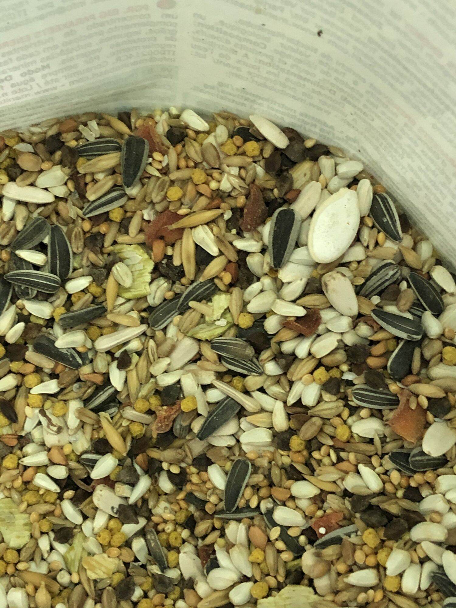 Hạt trộn cho vẹt sun, xích, ringneck gói lẻ 1kg
