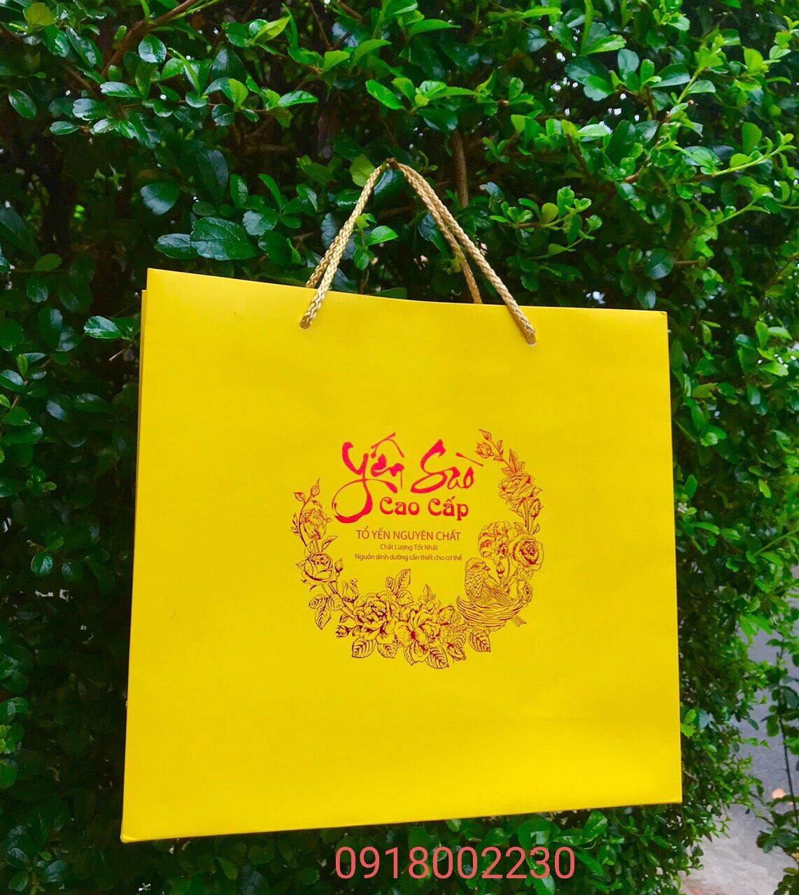 TÚI ĐỰNG YẾN SÀO  50gr( ÉP KIM)