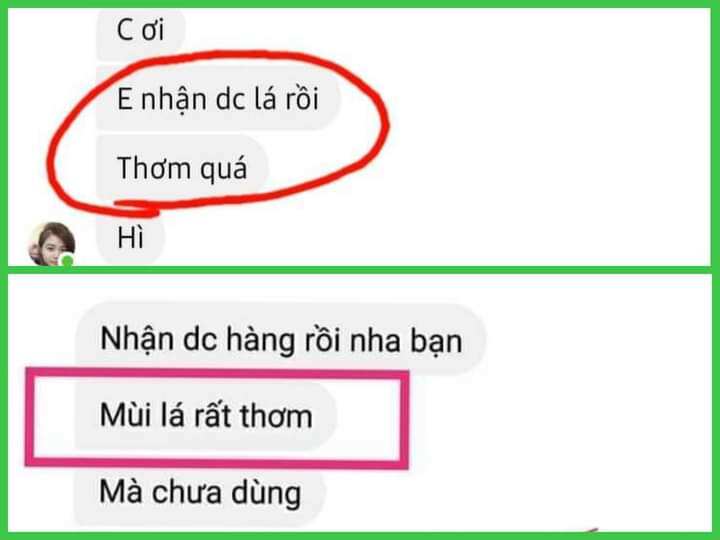 LÁ MẮC MẬT SẤY LẠNH
