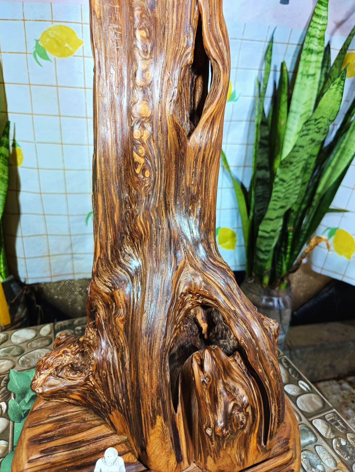 lũa gỗ thơm ngọc am đỏ hà giang