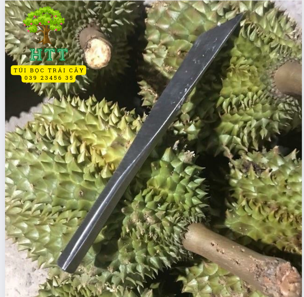 [ CHẤT LƯỢNG ] DAO KHUI,NẠY,CẠY ,TÁCH VỎ SẦU RIÊNG CHẤT LIỆU INOX NGUYÊN KHỐI
