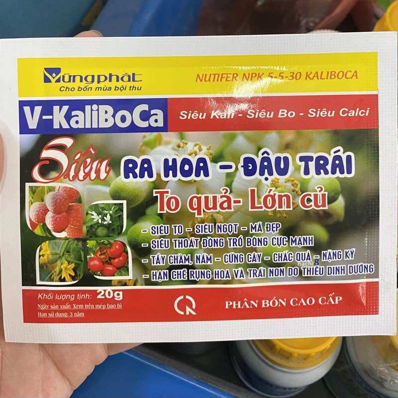 Phân bón kích hoa đậu quả